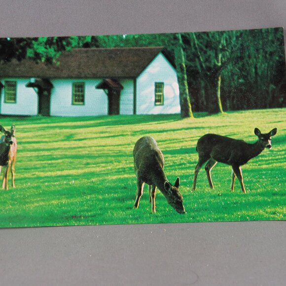 Vintage Postcard - Fort Rodd National Park Canada - Parks Canada - Picture 4 of 4